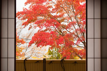 Hoshino Resorts Kai Nikko Eksteriør bilde